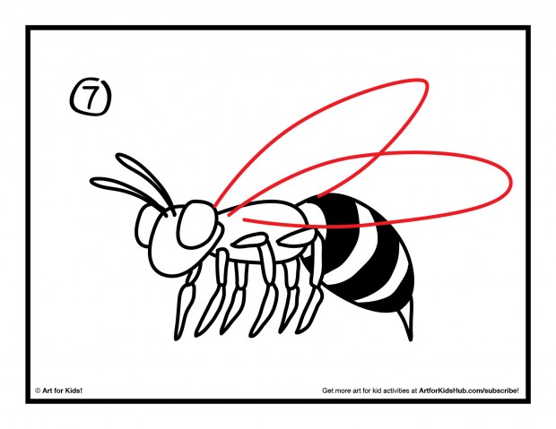 620x479 How To Draw A Bee