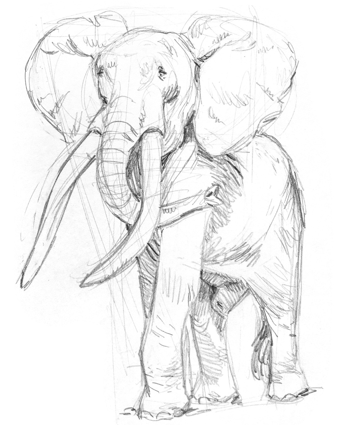 1080x1352 Max Ulichney