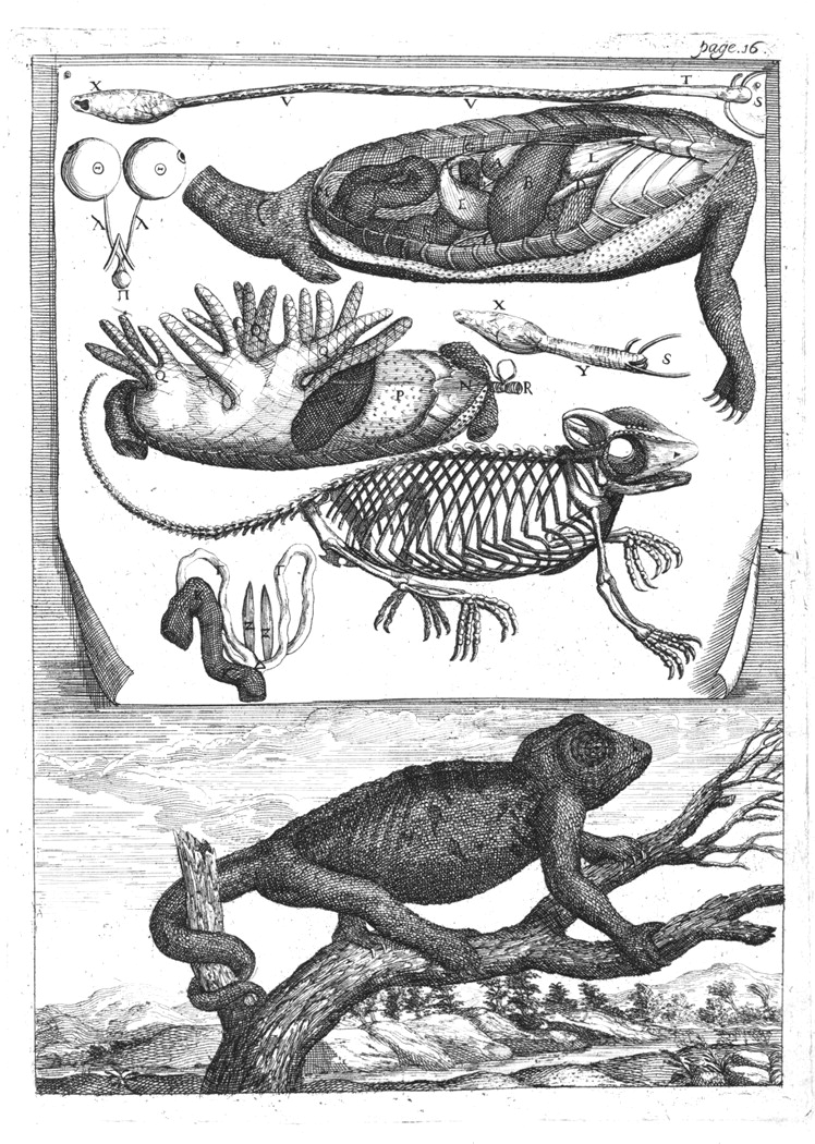 748x1050 Richard Waller And Henry Hunt Notes And Records