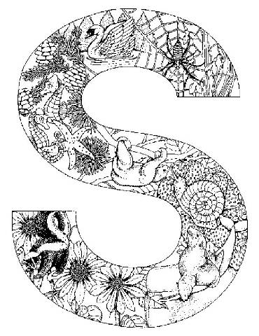 370x480 I Like This For A Art Project, Have Kids Pic A Letter And Make