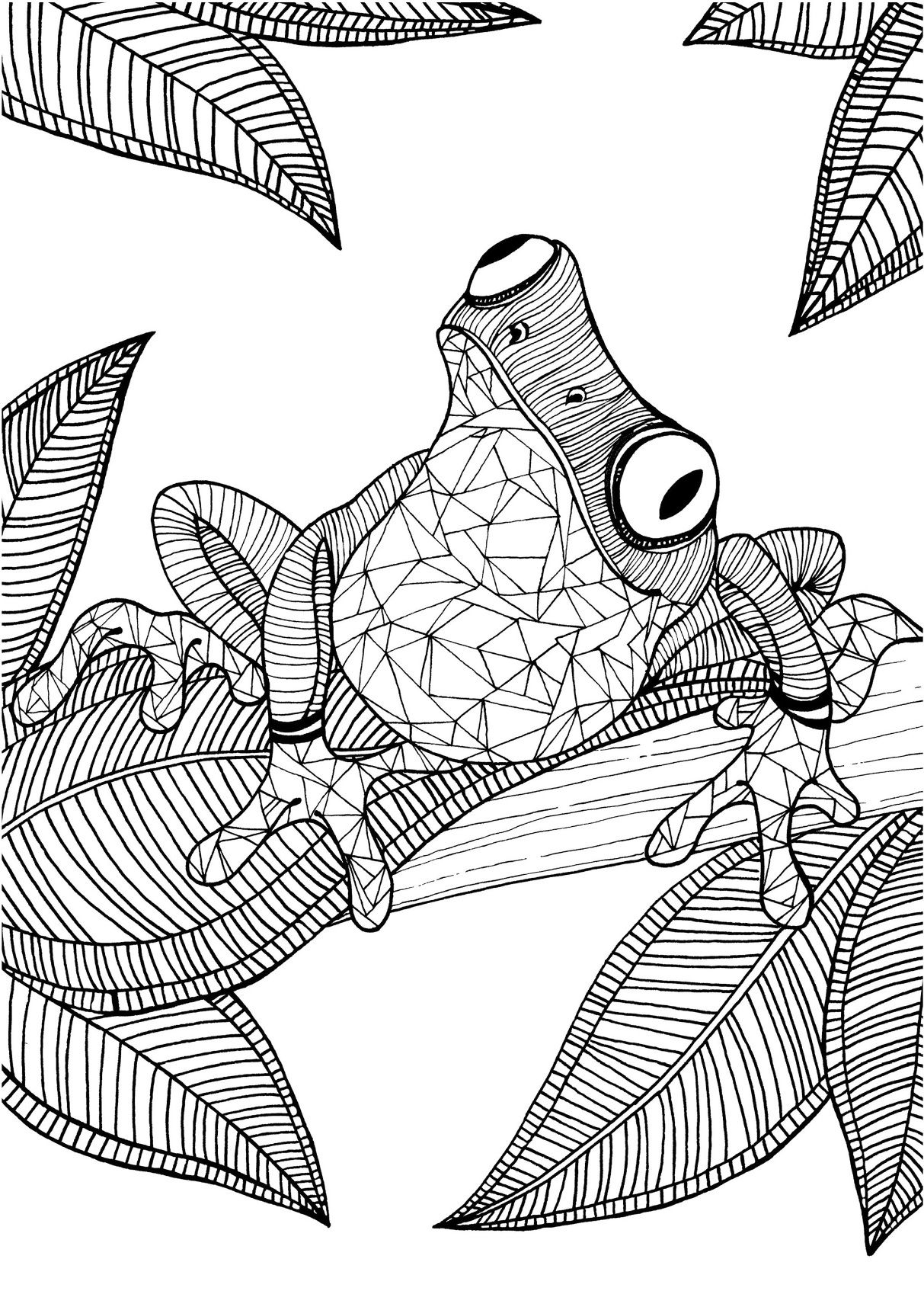 1213x1715 Frog Adult Colouring Page Colouring In Sheets