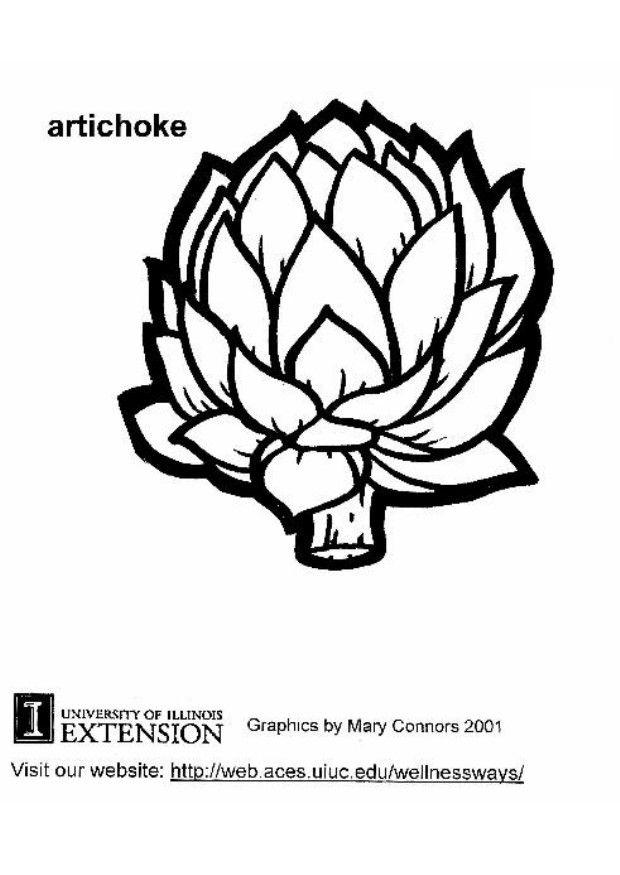 620x875 Coloring Page Artichoke