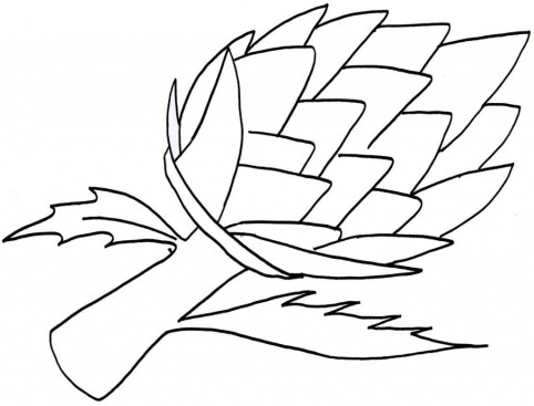 482x367 Printable Vegetable Artichoke Coloring Pages For Kidsfree