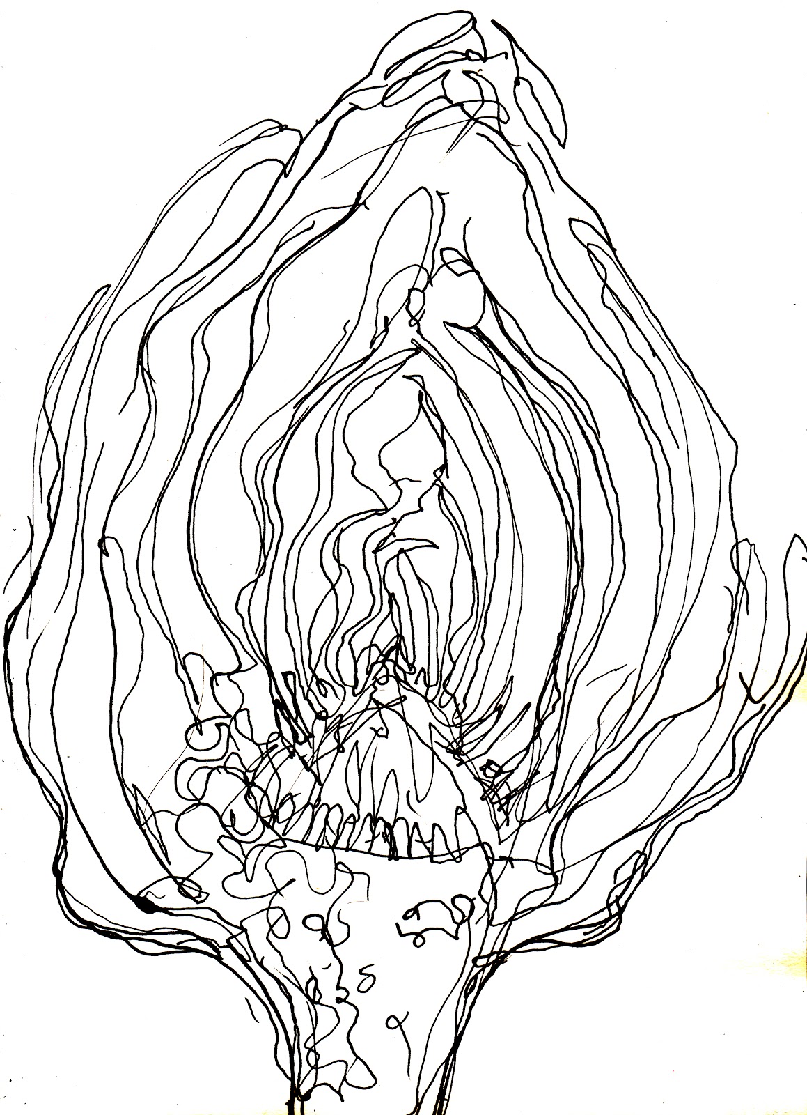 1159x1600 Rosie's Sketchbook Diary Artichoke Demonstration Drawing