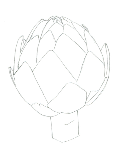 400x530 Tutorial Drawing An Artichoke In Colored Pencil