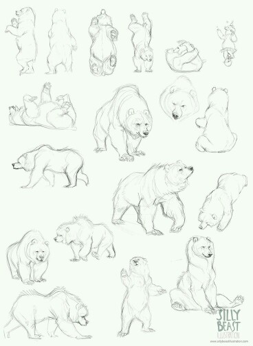 368x504 Bear Sketch Art Study (Drawing Not Mine, Credits To Original