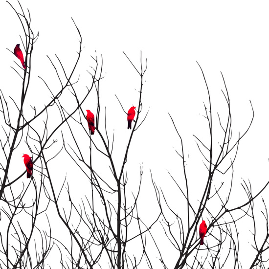 550x550 Artistic Bright Red Birds On Tree Branches Comforters By