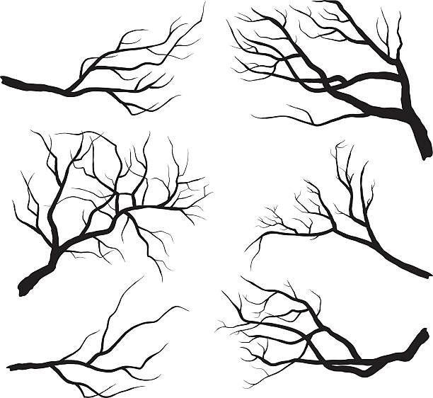 612x562 Branch Silhouettes Vector Art Illustration Artistic Inspiration