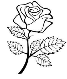 236x280 Drawn Rose Bush Artistic