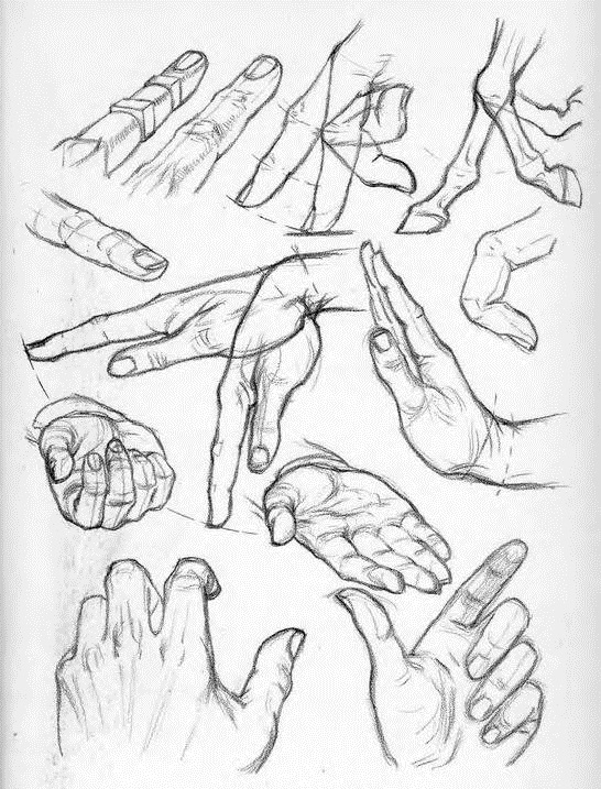 546x717 A Collection Of Anatomy And Pose References For Artists. Help