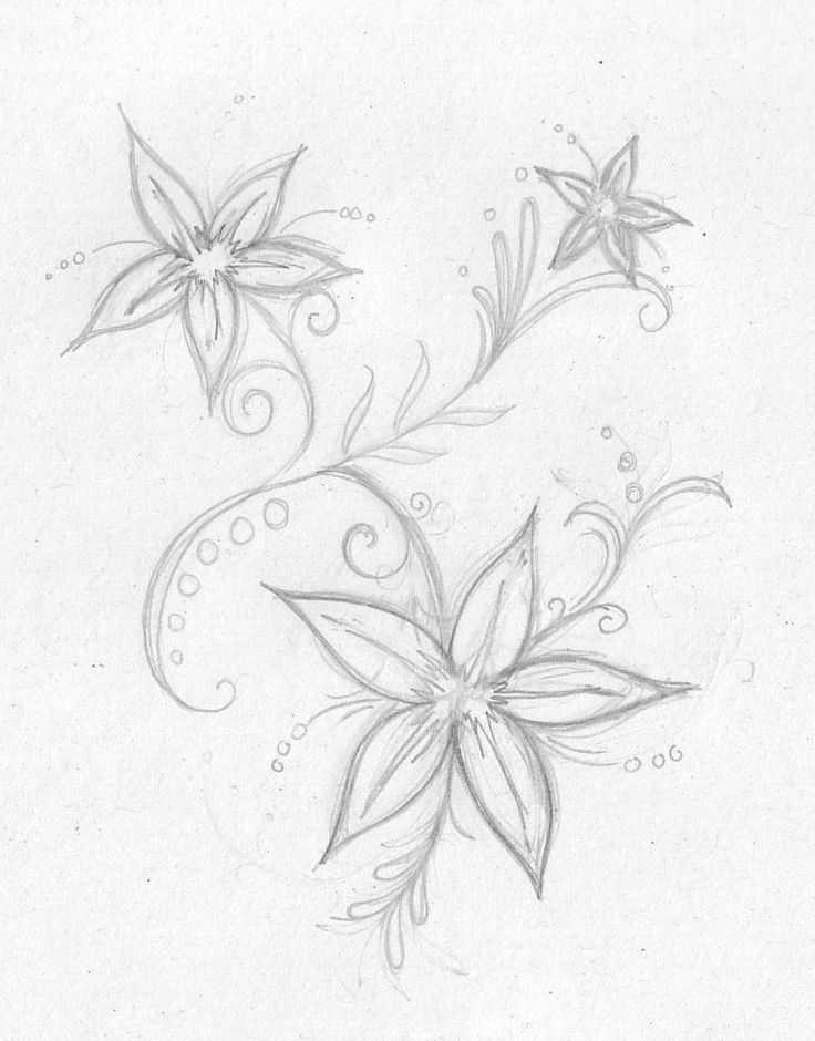 736x940 Pictures Cute Sketches Of Flowers,