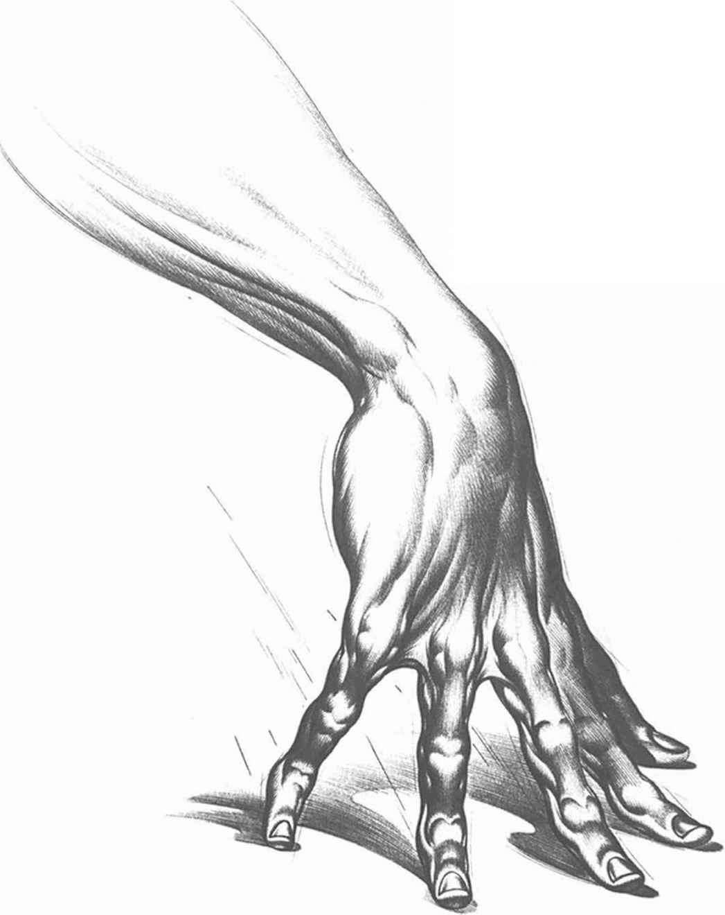 1047x1320 How To Draw A Claw Hand