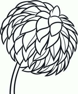 251x302 How To Draw A Dahlia, Dahlia Flower Step 8 Flowers