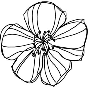 300x300 Natali Design Apple Doodle1.png For Tatoo Draw