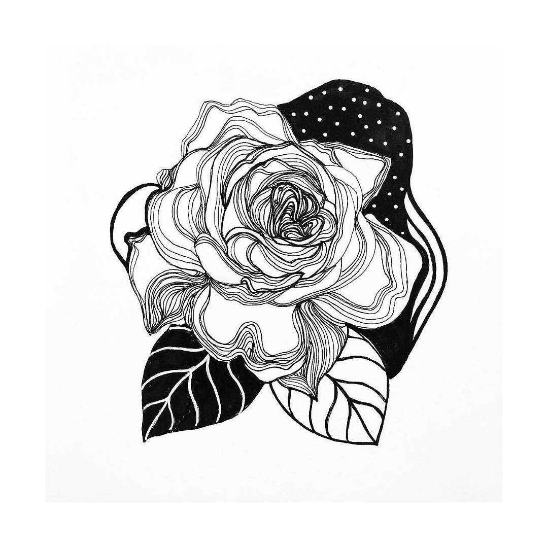 1080x1080 Beautiful Floral Drawing By @sorrylines