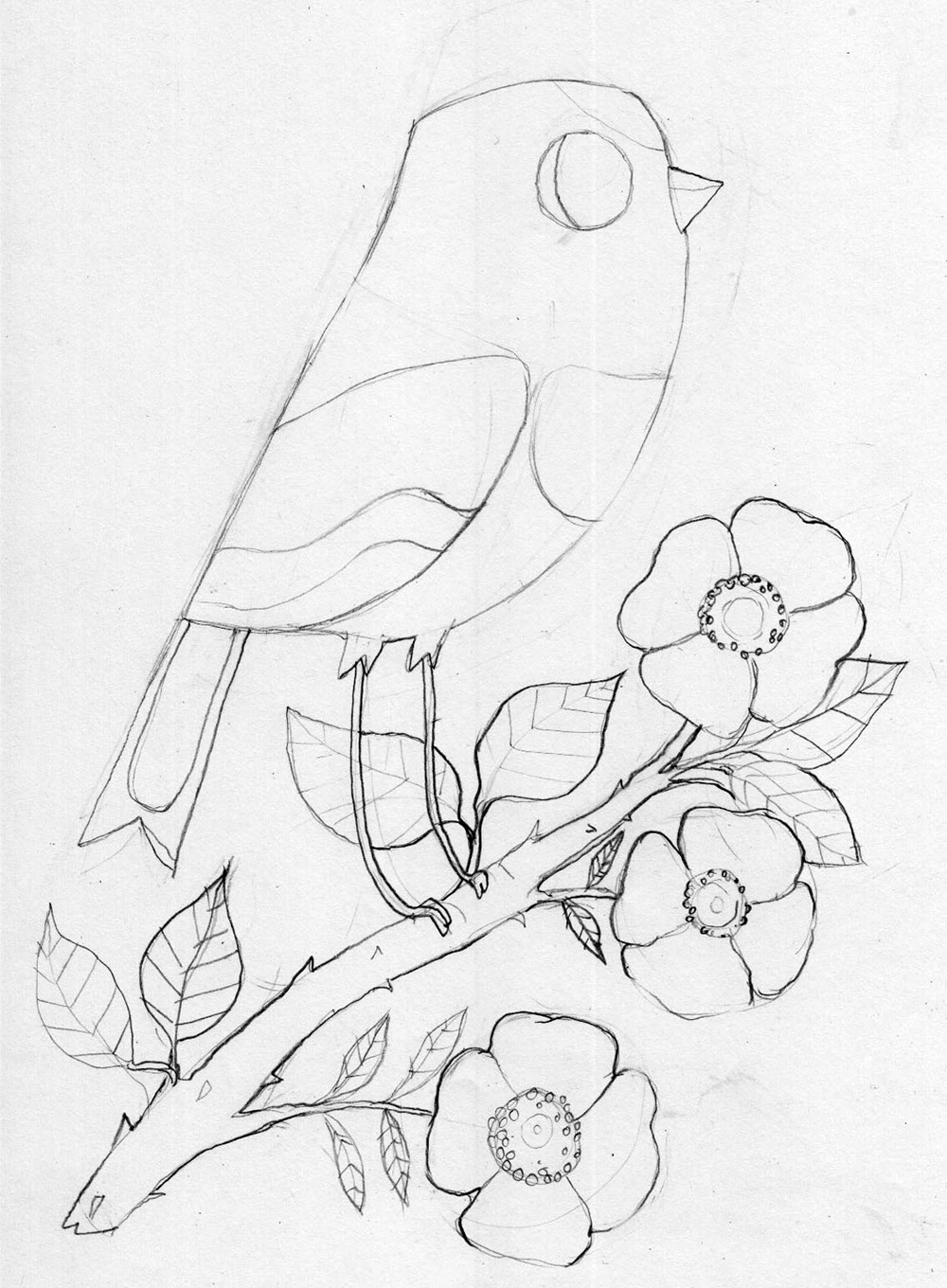 1000x1360 How To Draw Birds 18 Tips For Both Hand Drawn And Vector