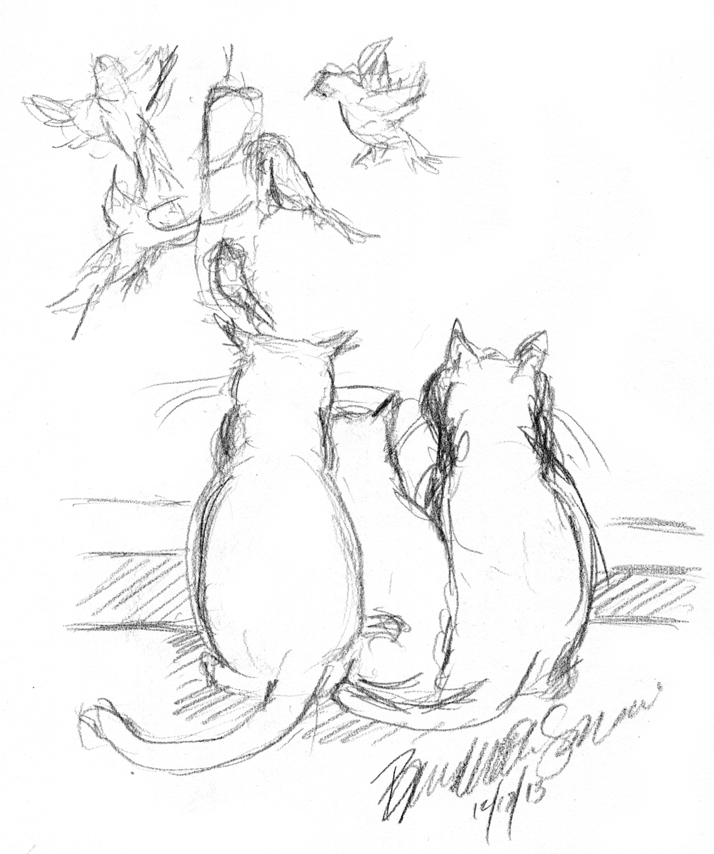 1000x1196 Daily Sketch Birdwatching, A Family Activity ~ The Creative Cat