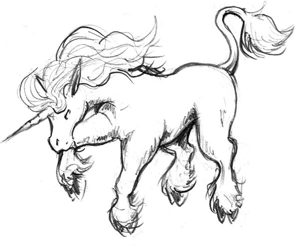 600x494 Pencil Art Photo Pencil Drawing Gallery