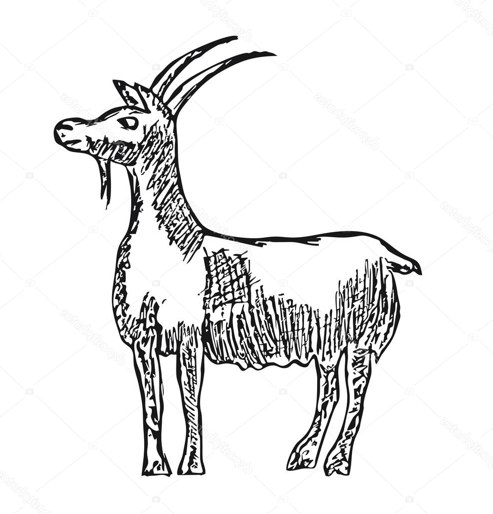 981x1023 Pencil Drawings Of Farm Animals Gsc Artwork Drawings