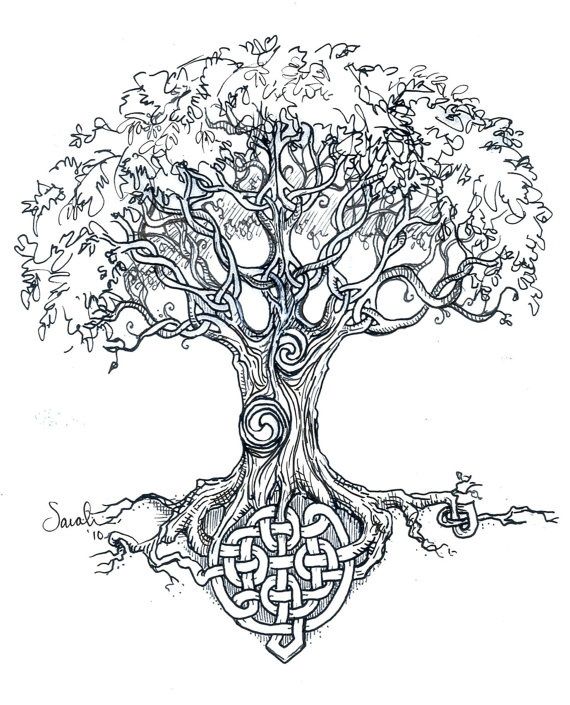570x705 Celtic Roots Ash Tree Tattoo Design