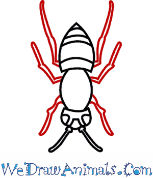 300x350 How To Draw An Asian Hornet