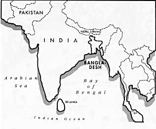 316x260 Some Trouble With Cows