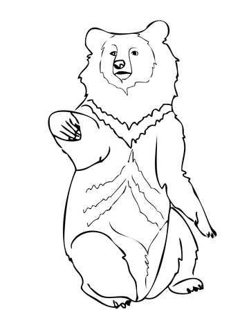 360x480 Asia Black Bear Coloring Page Free Printable Coloring Pages