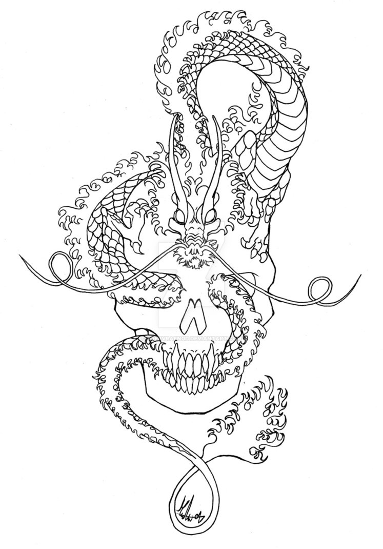 747x1070 Asian Dragon A Skull By Foervraengd