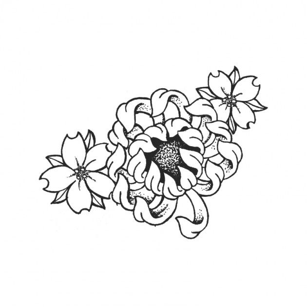 630x630 Oriental Flower Drawings Asian Flower Drawings Asian Flowers