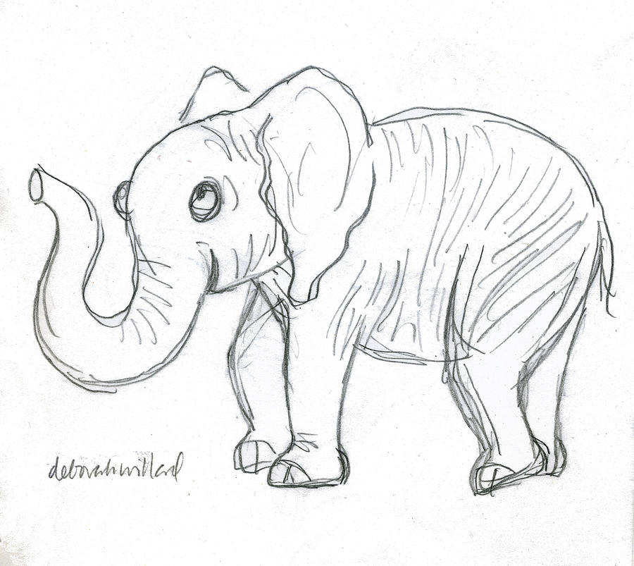 900x803 Cute Elephant Drawing By Deborah Willard