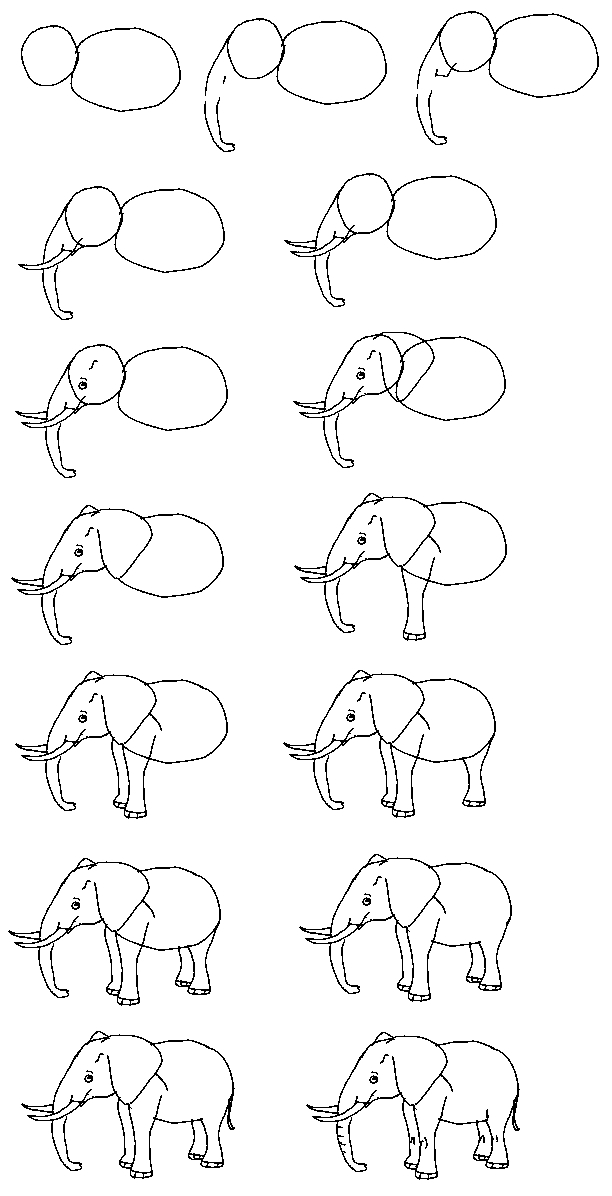 612x1196 Great Tutorial For Someone Who Can'T Draw Their Favorite Animal