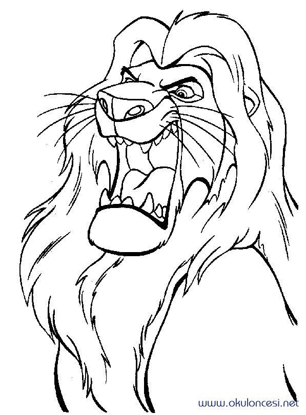 Aslan Drawing at GetDrawings | Free download