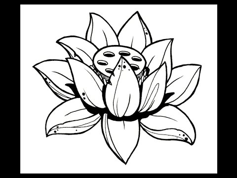 480x360 How To Draw A Lotus Flower By Thebrokenpuppet