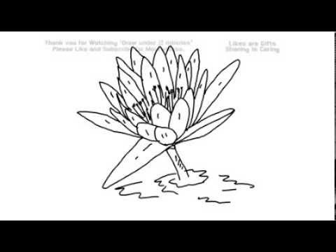 480x360 How To Draw A Lotus Flower Under 2 Minutes Yzarts Yzarts