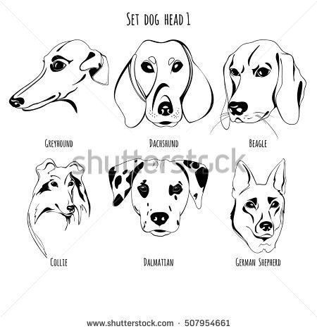 450x470 A Set Of Contour Drawings Dalmatian Dog Breeds, Beagle, Sheepdog