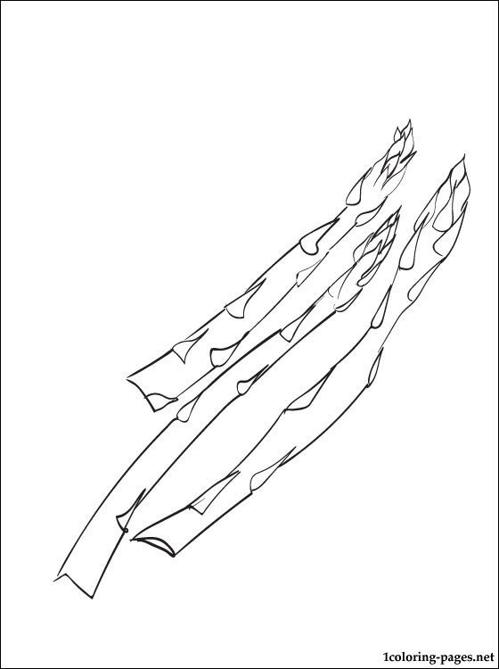 560x750 Asparagus Coloring Page Coloring Pages