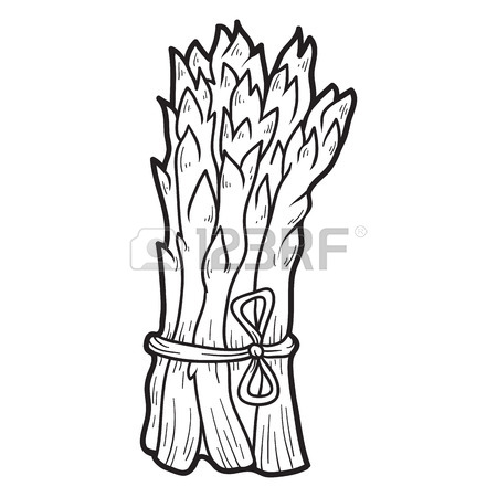450x450 Coloring Book For Children Fruits And Vegetables (Asparagus