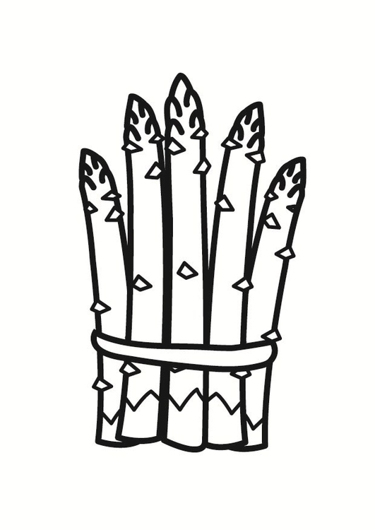 531x750 Coloring Page Asparagus