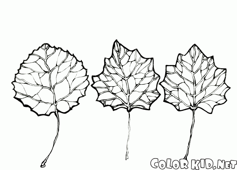821x588 Coloring Page