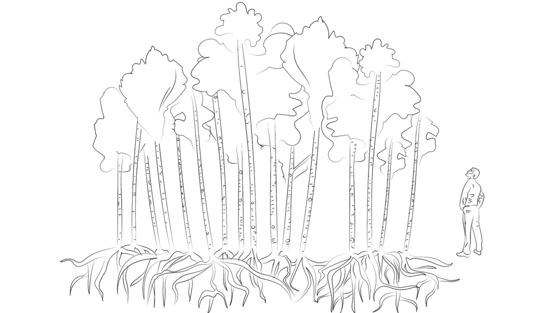 1140x641 Project Aspen Who Owns The Patient Experience Iit Institute