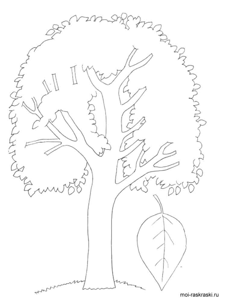 750x1000 Aspen Coloring Page Aspen Leaf Coloring Page