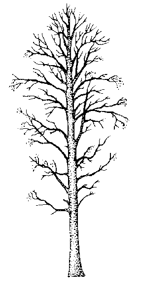 288x600 Grade 6 Science Review Flipquiz