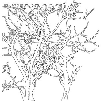 Aspen Tree Drawing at GetDrawings | Free download