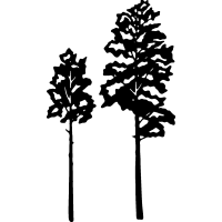 200x200 Aspen Tree Clipart