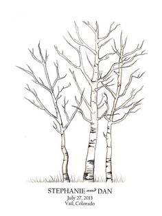 236x314 Aspen Trees Root System