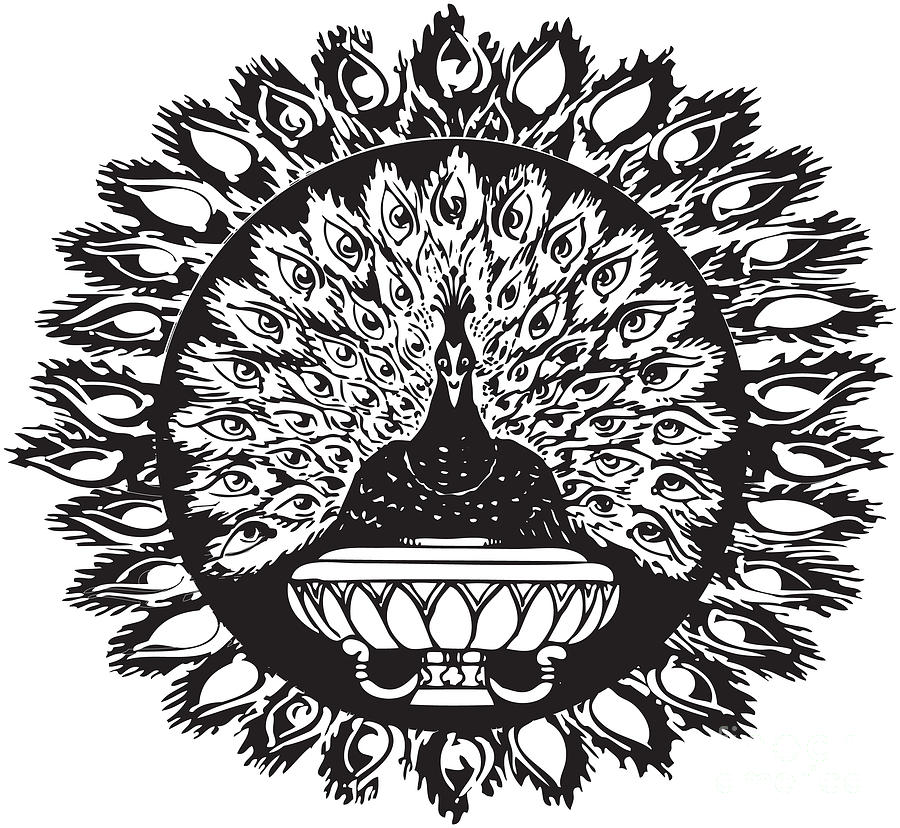 900x828 Peacock Drawing By Louii Tannous