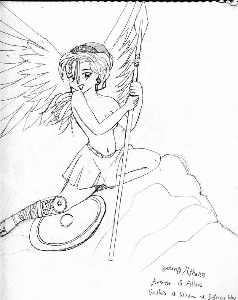803x1013 Athena.jpg