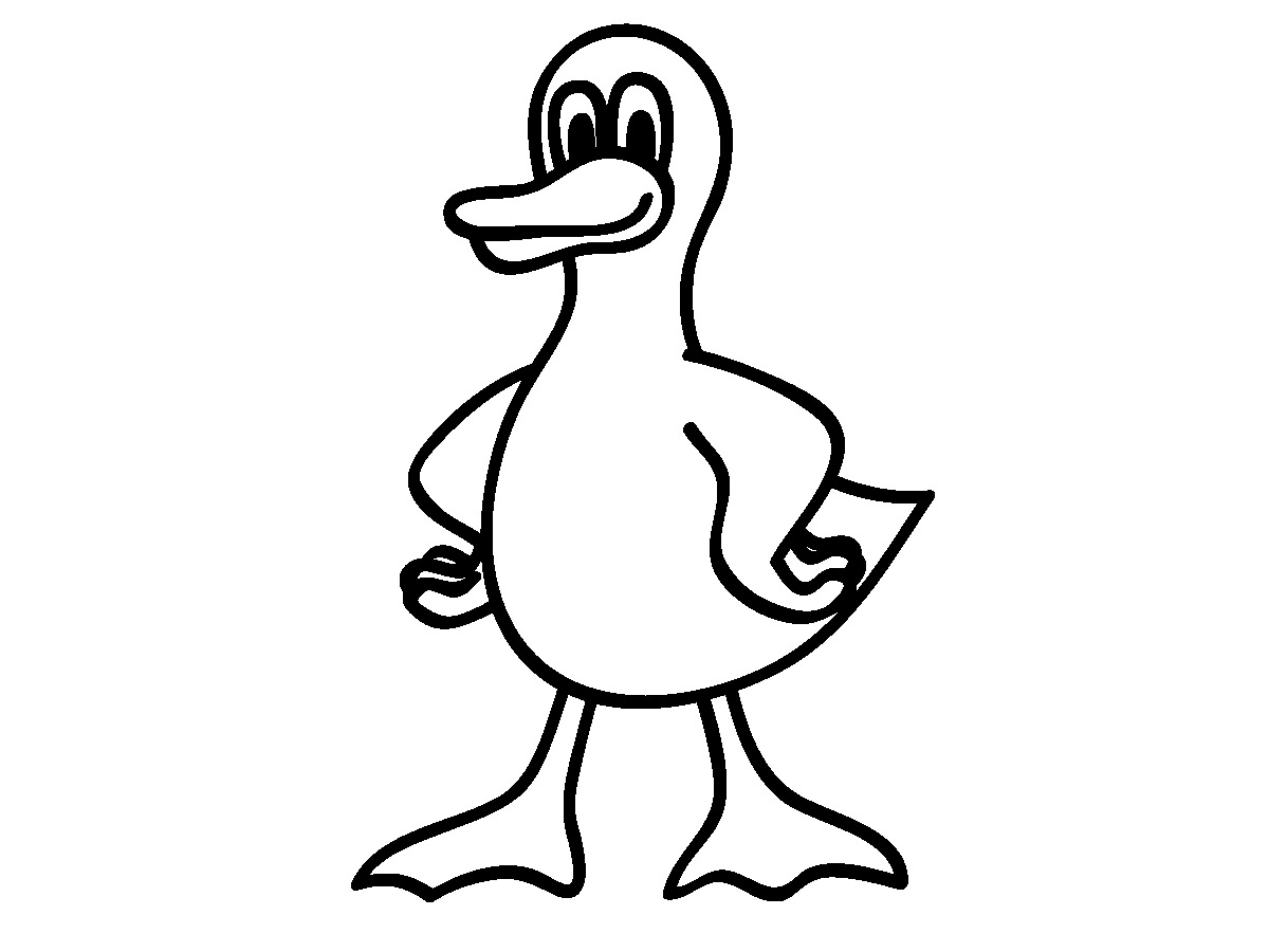 1200x900 Puffin Clipart Drawing