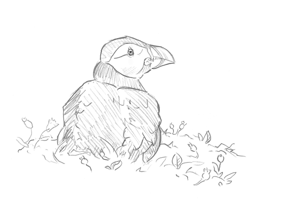 1000x707 Sketchbook Matthew Lissimore