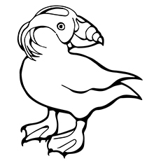 230x230 Top 10 Puffin Coloring Pages For Toddlers